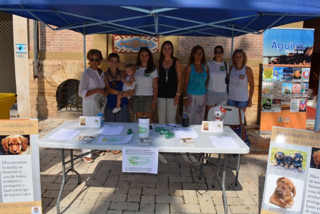Campaña de recogida de alimentos y medicamentos para la protectora Aguiproan - 1, Foto 1