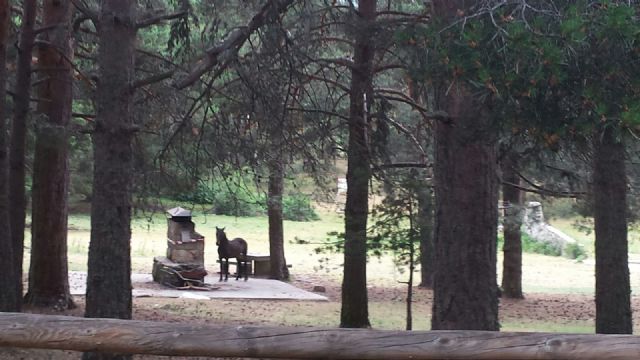 IU-Verdes Lorca consigue que el Ayuntamiento atienda demandas históricas de los vecinos de Doña Inés - 3, Foto 3