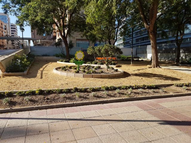El Ayuntamiento crea una nueva zona verde en la Avenida de Abenarabi - 2, Foto 2