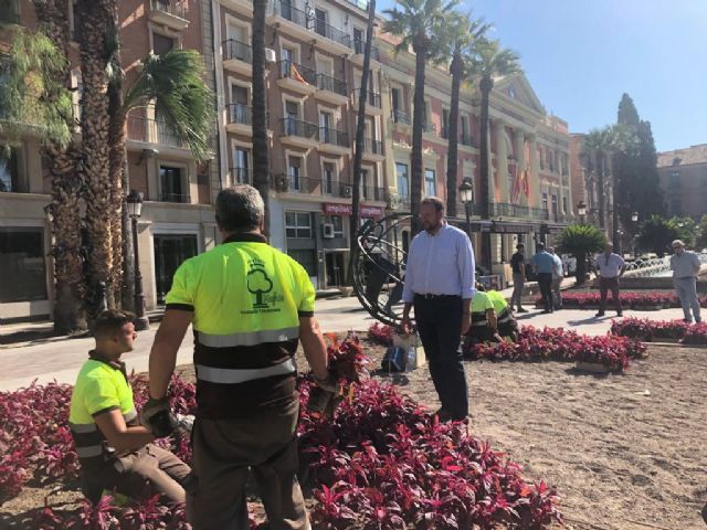 Más de 80.000 flores llenarán de color la ciudad de Murcia para la feria de septiembre - 1, Foto 1