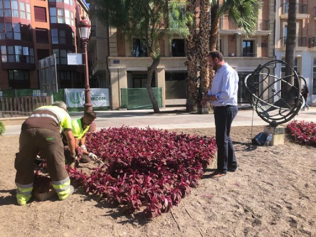 Más de 80.000 flores llenarán de color la ciudad de Murcia para la feria de septiembre - 2, Foto 2