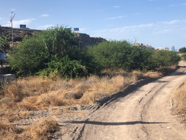 El Partido Popular solicita que se realice el correcto mantenimiento y la limpieza de los cauces del municipio ante la previsión de lluvias de cara al otoño - 1, Foto 1
