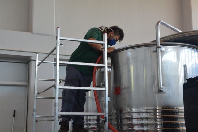 La UPCT elaborará 1.800 litros de vino de uva merseguera - 1, Foto 1