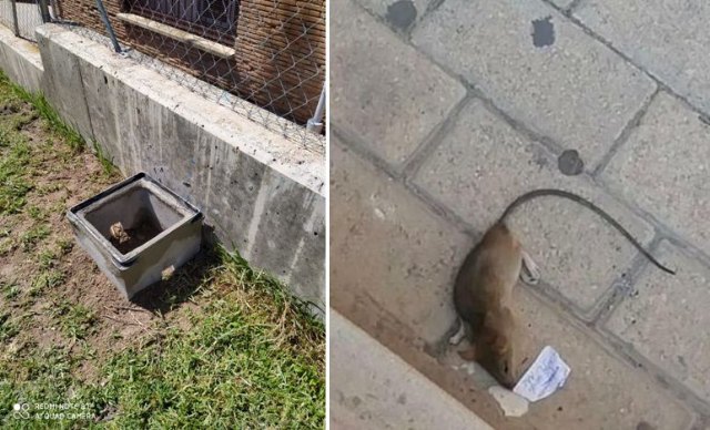 Saorín acusa a Óscar Verdejo de instalarse en la política espectáculo - 1, Foto 1