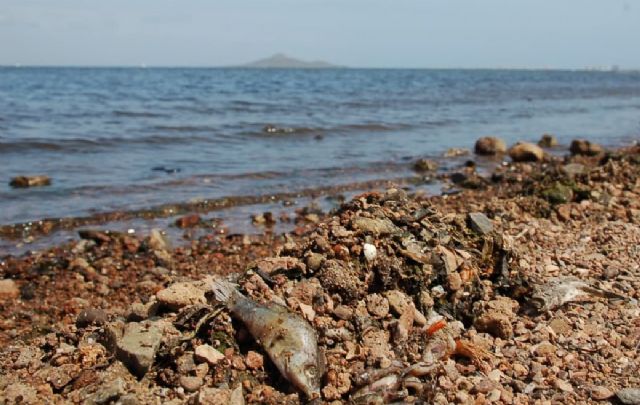 Imágenes de esta semana en Los Nietos., Foto 1