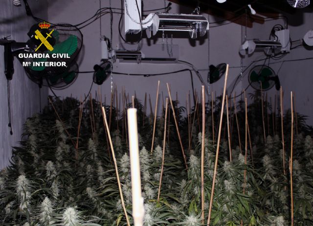 La Guardia Civil desmantela tres plantaciones de marihuana en Cartagena y Fuente Álamo - 1, Foto 1