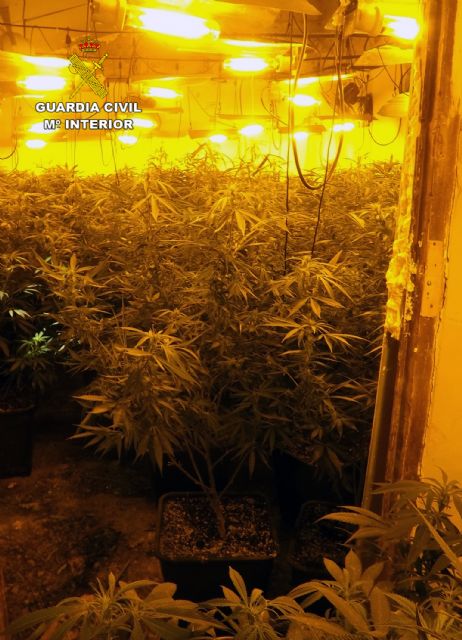 La Guardia Civil desmantela tres plantaciones de marihuana en Cartagena y Fuente Álamo - 3, Foto 3