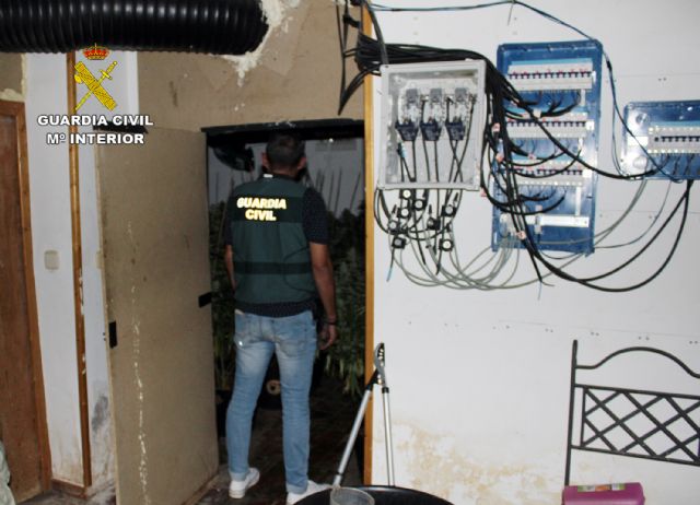 La Guardia Civil desmantela tres plantaciones de marihuana en Cartagena y Fuente Álamo - 5, Foto 5