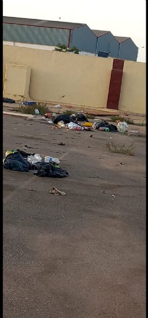 Caridad Rubio: Exigimos la limpieza inmediata del recinto ferial de El Albujón para evitar un problema sanitario - 3, Foto 3