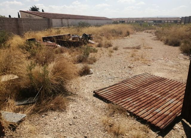 El abandono y el terror se apoderan del Cementerio Municipal de Las Torres de Cotillas - 3, Foto 3