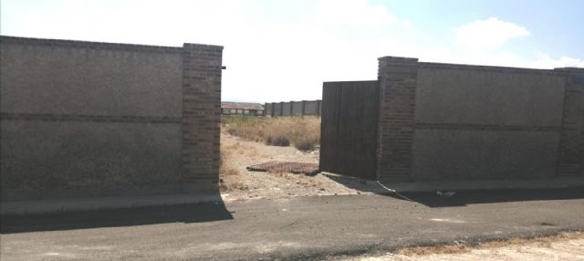 El abandono y el terror se apoderan del Cementerio Municipal de Las Torres de Cotillas - 4, Foto 4