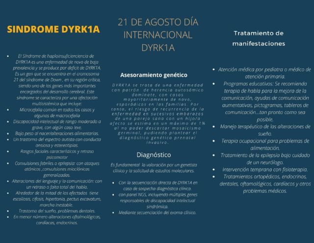 El 21 de agosto se celebra el Día Mundial del Síndrome DYRK1A - 1, Foto 1
