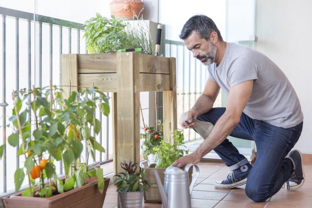 Los huertos urbanos superan los 15.000 en España y ocupan más de 1,5 millones de m2 en las ciudades - 1, Foto 1