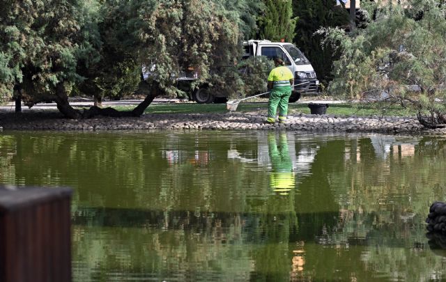 Lagos y fuentes del municipio se someten a un tratamiento de limpieza en profundidad para garantizar las condiciones higiénico sanitarias de su agua - 4, Foto 4
