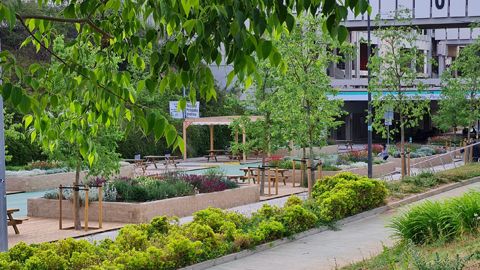 Casalduero reitera su propuesta de crear una red de refugios climáticos en Lorca para proteger del calor extremo a la ciudadanía - 1, Foto 1