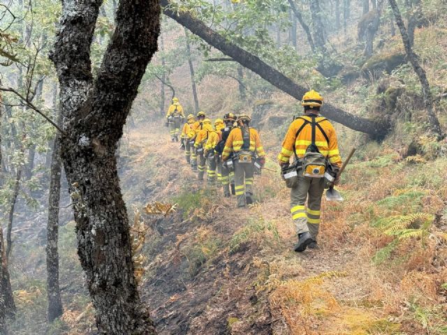Los cinco incendios forestales iniciados ayer en la Región quedaron controlados en 19 horas - 1, Foto 1