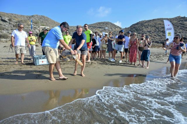 Lorca consolida Calnegre como enclave de referencia para la recuperaci�n de la tortuga boba con la liberaci�n de dos nuevos ejemplares