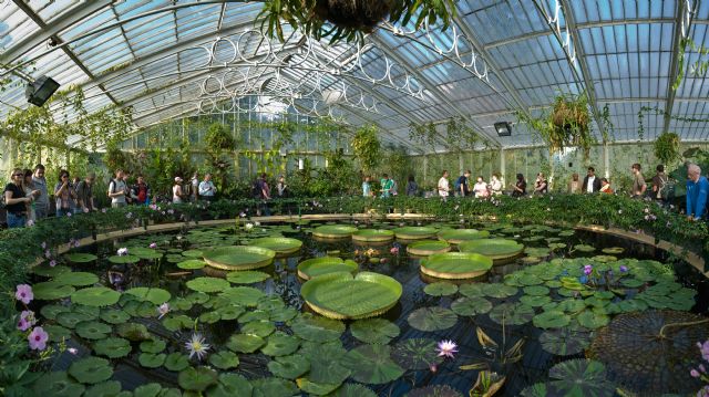 El Royal Botanic Gardens Kew de Londres abre sus puertas a los alumnos de Agrónomos - 2, Foto 2