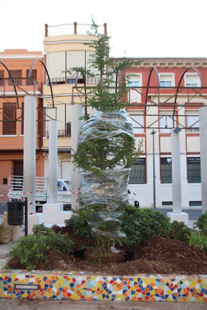 Dos cedros nuevos para el Jardn de los Patos y La Cubana, Foto 1