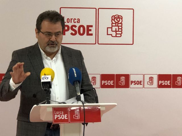 El PSOE exige mayor transparencia en los procesos de selección y una formación profesional acorde con las demandas reales de los sectores empresariales - 1, Foto 1