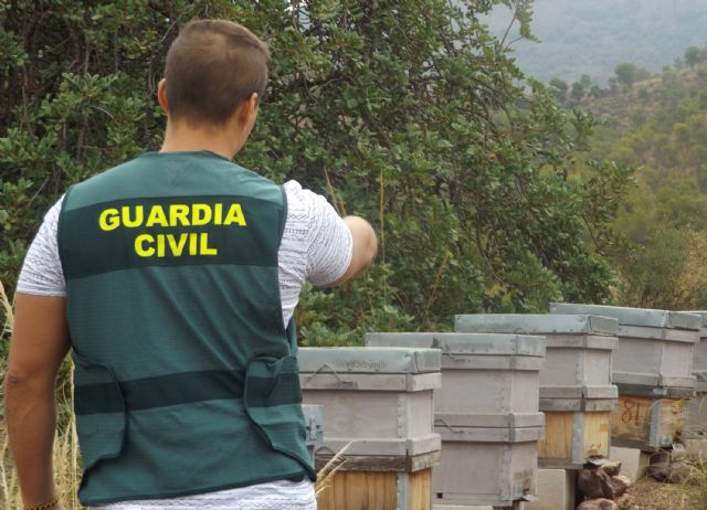 La Guardia Civil investiga a cuatro personas por el hurto de colmenas en Zarcilla de Ramos-Lorca - 1, Foto 1