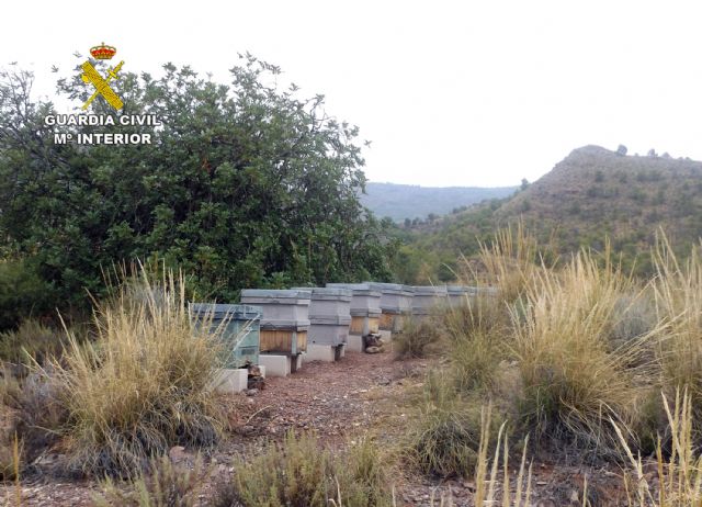 La Guardia Civil investiga a cuatro personas por el hurto de colmenas en Zarcilla de Ramos-Lorca - 2, Foto 2