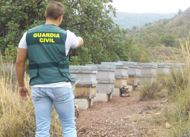 La Guardia Civil investiga a cuatro personas por el hurto de colmenas en Zarcilla de Ramos-Lorca - 3, Foto 3