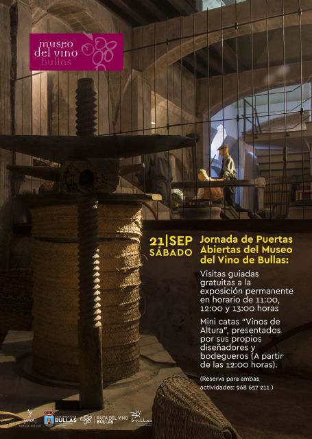 Las Fiestas del Vino dan comienzo con la Noche Temática del Vino - 2, Foto 2