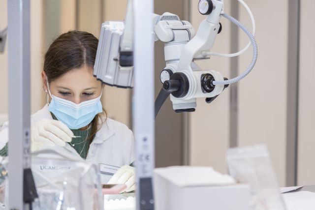 La UCAM inicia el curso este lunes con Biotecnología como novedad - 1, Foto 1