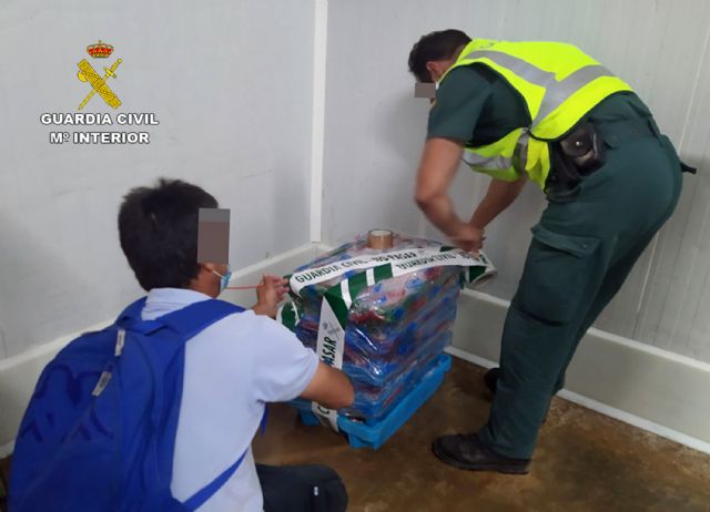 La Guardia Civil sorprende a un vecino de Cartagena con más de 50 kilos de doradas capturadas ilícitamente - 2, Foto 2