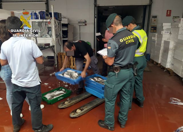 La Guardia Civil sorprende a un vecino de Cartagena con más de 50 kilos de doradas capturadas ilícitamente - 5, Foto 5