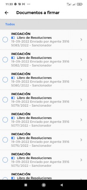 El alcalde aclara que la embriaguez y malas conductas en la vía pública tienen consecuencias, Foto 4