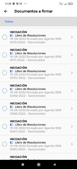 El alcalde aclara que la embriaguez y malas conductas en la vía pública tienen consecuencias, Foto 5