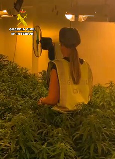 La Guardia Civil desmantela en Bullas un cultivo ilícito de marihuana - 1, Foto 1