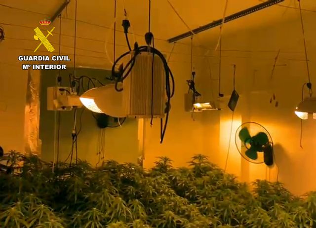 La Guardia Civil desmantela en Bullas un cultivo ilícito de marihuana - 4, Foto 4