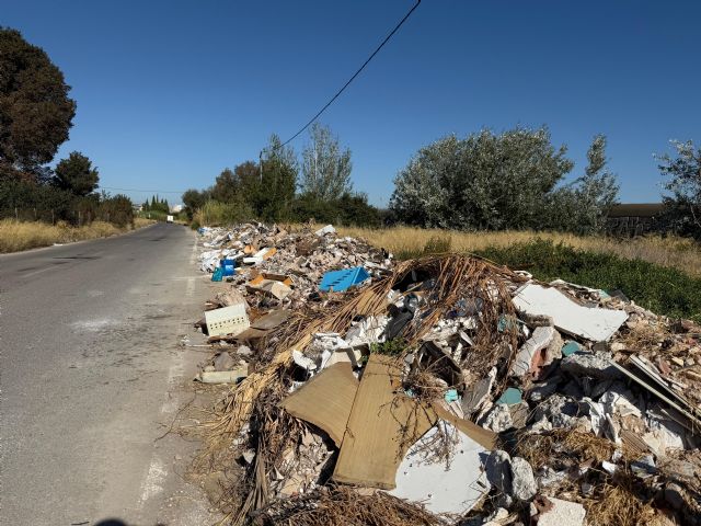 El PSOE reclama un punto público de recogida de escombros ante la proliferación de vertidos ilegales en las pedanías - 3, Foto 3