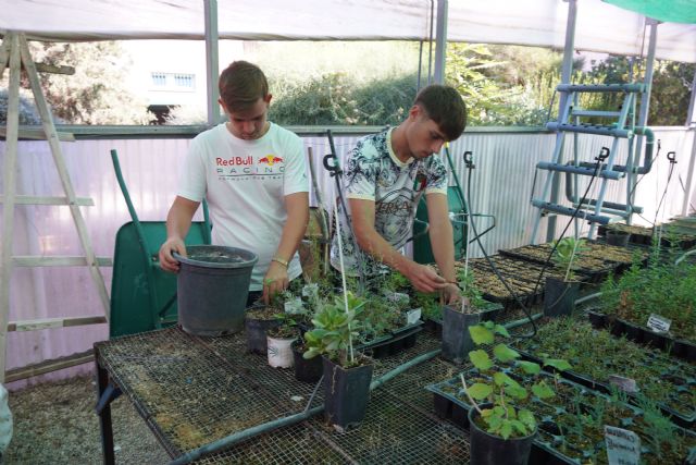 Arranca el curso en el CIFEA Jumilla con más de 100 estudiantes que se forman en técnicas agrícolas y forestales - 4, Foto 4