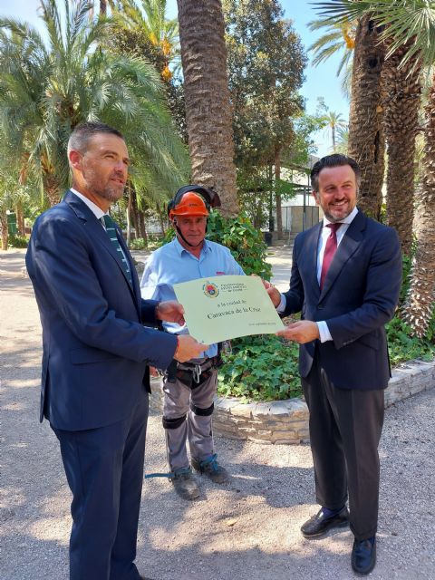 Elche dedica a Caravaca una palmera de su emblemático Parque Municipal como símbolo de unión entre ambas ciudades - 1, Foto 1