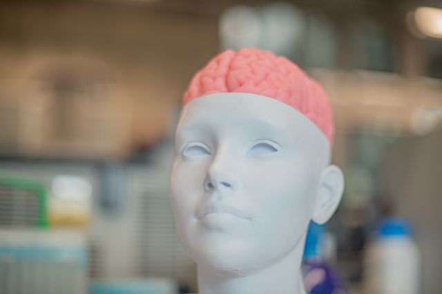 Alzheimer: Científicos peruanos combinan IA y simulación 3D para la detección temprana y evitar el avance de esta enfermedad - 1, Foto 1