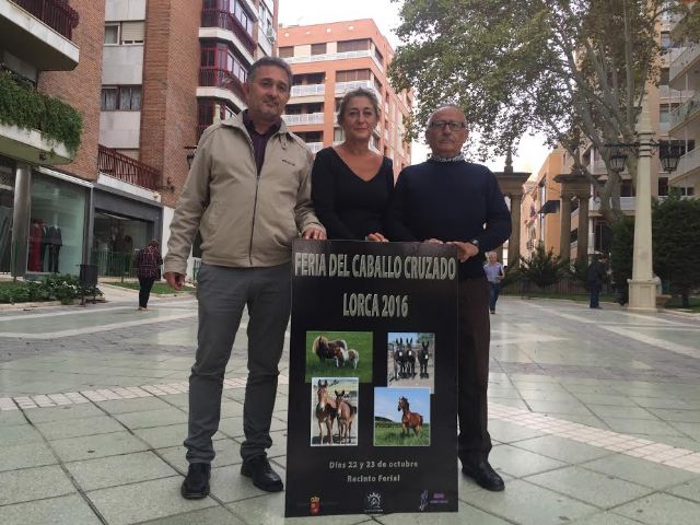 El Huerto de la Rueda acoge este fin de semana la Feria del Caballo Cruzado - 1, Foto 1