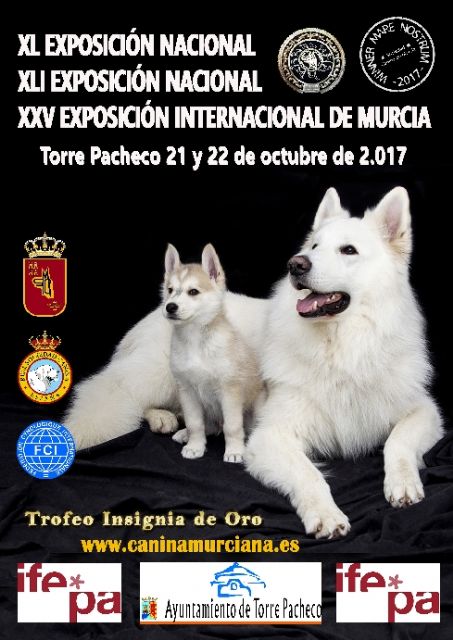 Torre Pacheco (Murcia) acoge este fin de semana la XL Exposición Nacional y la XXV Exposición Internacional Caninas - 1, Foto 1