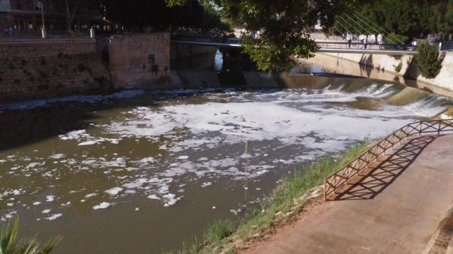 Huermur denuncia de nuevo espumas y peces muertos en el Río Segura a su paso por Murcia - 1, Foto 1