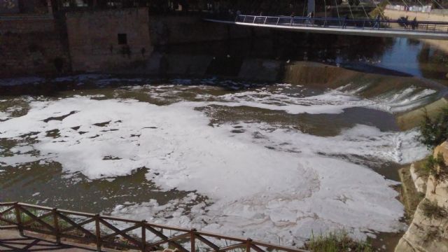 Huermur denuncia de nuevo espumas y peces muertos en el Río Segura a su paso por Murcia - 2, Foto 2