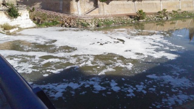 Huermur denuncia de nuevo espumas y peces muertos en el Río Segura a su paso por Murcia - 3, Foto 3