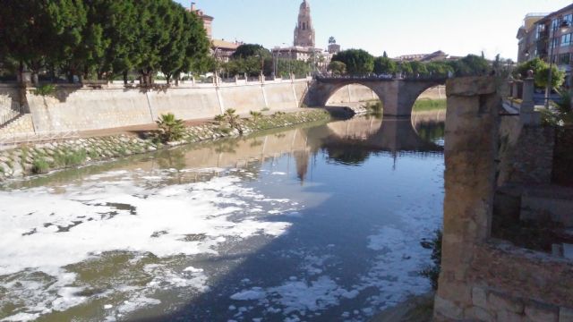 Huermur denuncia de nuevo espumas y peces muertos en el Río Segura a su paso por Murcia - 4, Foto 4