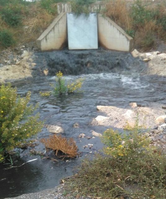 El PSOE denuncia nuevos vertidos ilegales a la Rambla Alta de Lorca - 1, Foto 1