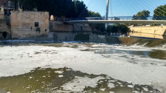 La CHS toma muestras en el río Segura en Murcia para investigar la aparición de espuma y peces muertos - 2, Foto 2
