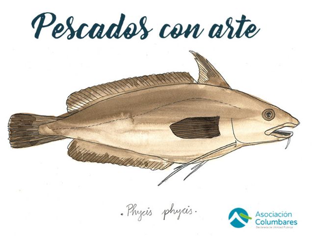 Pescados con Arte enseña a cocinar la brotola en papillote con veloute - 1, Foto 1