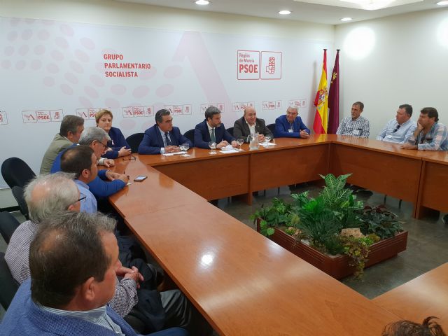 Vía libre con el respaldo mayoritario de la Asamblea a la propuesta del PSOE para que el melocotón de Cieza consiga el indicador IGP - 1, Foto 1