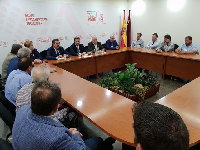 Vía libre con el respaldo mayoritario de la Asamblea a la propuesta del PSOE para que el melocotón de Cieza consiga el indicador IGP - 2, Foto 2